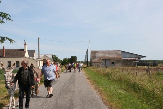 2015-07-06 rando anes (18).JPG